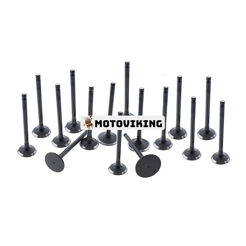 För Komatsu grävmaskin PC110R-1 PW110R-1 Yanmar Engine 4TNV106 Komatsu Engine 4D106 Insugsavgasventil 16 enheter 1 set