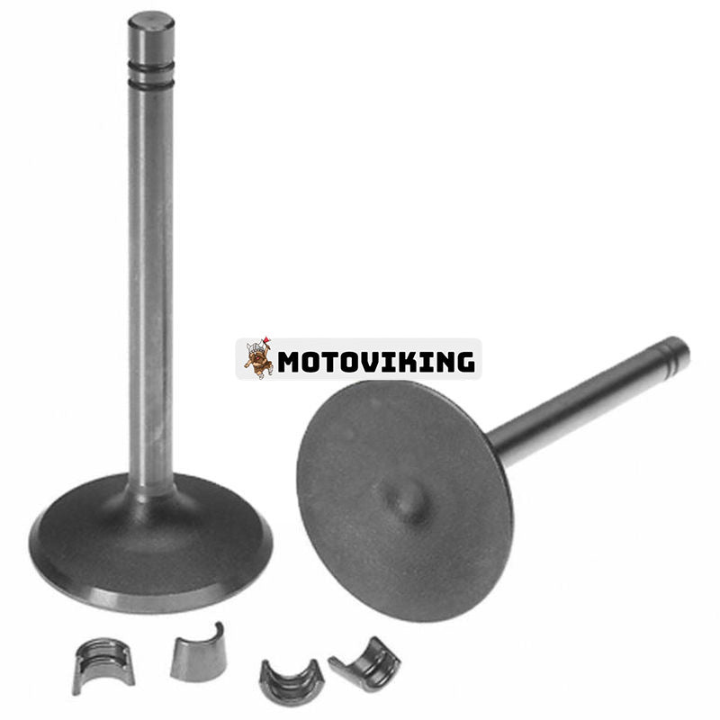 Set med 2 ventilintag 1007860 för Caterpillar CAT Engine 3304 3306 Grävmaskin 235B 330 350 W330B i USA