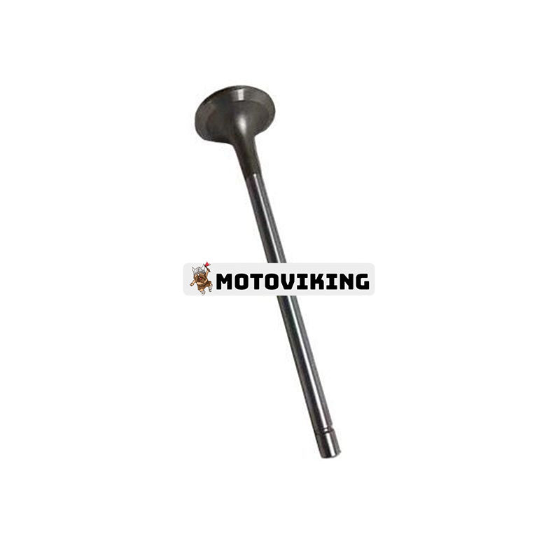 Avgasventil 2881813 för Cummins Engine QSK19G QSK60G