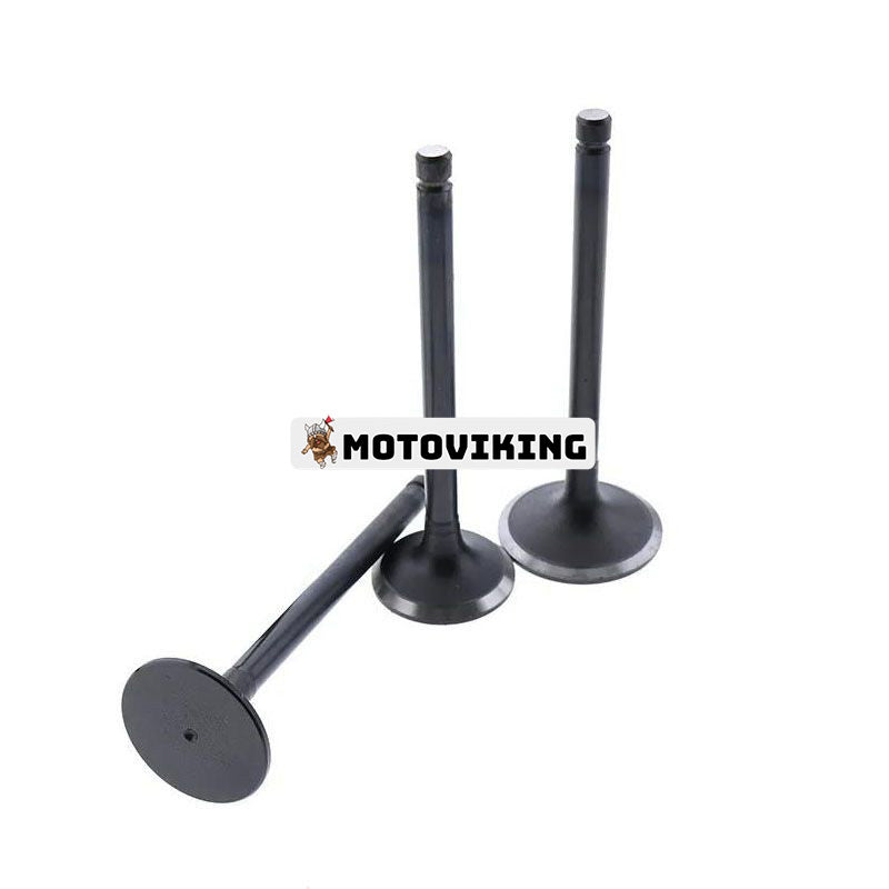 För Hitaci grävmaskin EX50UR Isuzu Engine 3AB1 Avgasventil 3 enheter 1 set