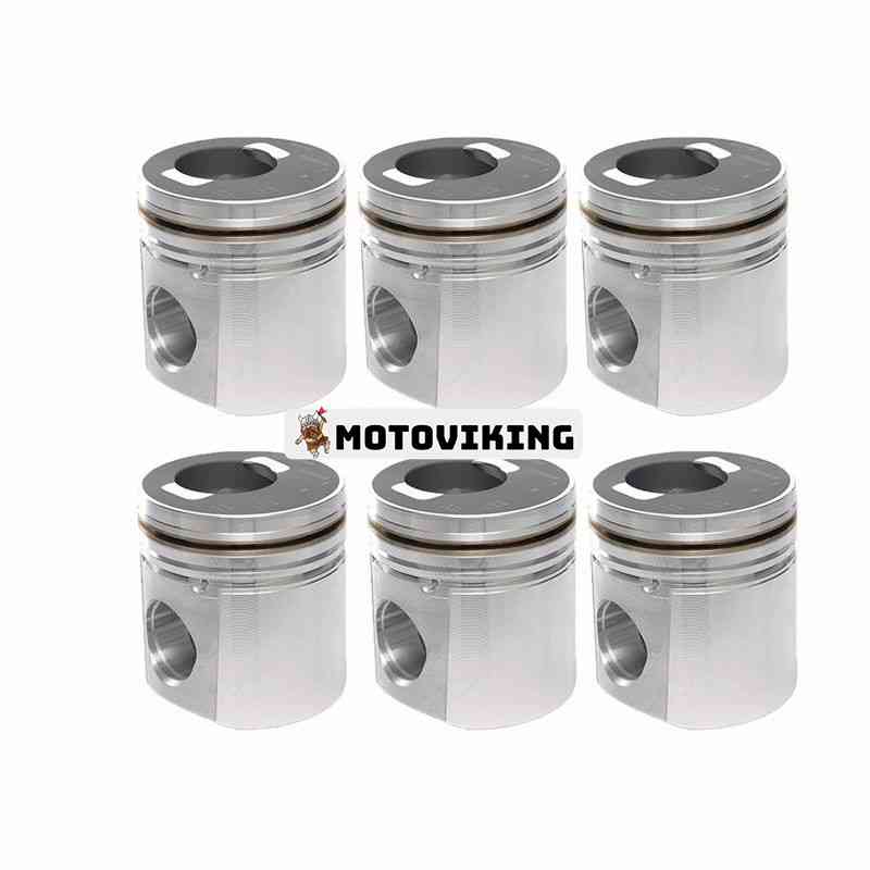 NLFP210628002 bild 1