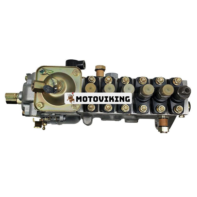 6-cylindrig bränsleinsprutningspump 092000-1070 3924843 för Cummins Engine 6C8.3