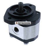 Hydraulisk lyftfunktion kugghjulspump 96193GT för Genie GR-08 QS-12W GS-1530 GS-1932 GS-2646 Z-33/18 Z-40/23N