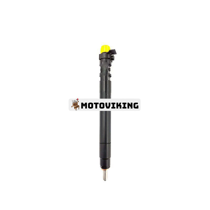 Delphi Fuel Injector EMBR00101D R00101DP för Citroen C4 DS5 Fiat Scudo Ford Focus S-Max Mondeo Peugeot 308 508