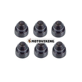 6 st Injector Cone Sac Cup 3005963 för Cummins Engine M11 ISM11 QSM11 K19 KT38 NT V28