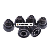 6 st Fuel Injector Cone Sac Cup 3349862 för Cummins Engine K19 KTA19 K50 QSK50