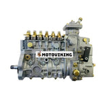 Bränsleinsprutningspump 3960703 för Cummins Engine 4BT 6BT5.9 6CT