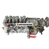 Bosch bränsleinsprutningspump 0403436109 3915581 3915581RX för Cummins Engine 6CTA 8.3