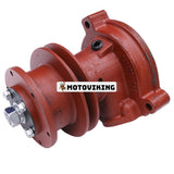 Vattenpump 240-1307010 2401307010 för Vitryssland traktor 800 900 5000 8000 9000 MTZ80 MTZ82