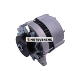 12V 70A Generator 382-08919 för Lister Petter Engine LPW2 LPW3 LPW4