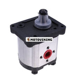 Enkel hydraulpump 5179714 för CASE JX80 JX55 JX95 JX85 JX60 JX90 JX65 JX70 JX75 traktor