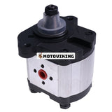 Hydraulpump BH525339 3538957M91 för Massey Ferguson Tractor 1007 373 374 377 383 384F 387 393 394C 397