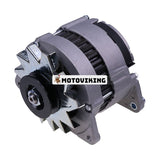 12V Generator 1447312M91 för Perkins 4.236 6.354 Massey Ferguson MF243 MF245 MF250 MF253 399 699 383