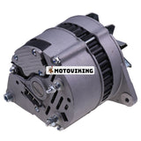 12V Generator 1447312M91 för Perkins 4.236 6.354 Massey Ferguson MF243 MF245 MF250 MF253 399 699 383