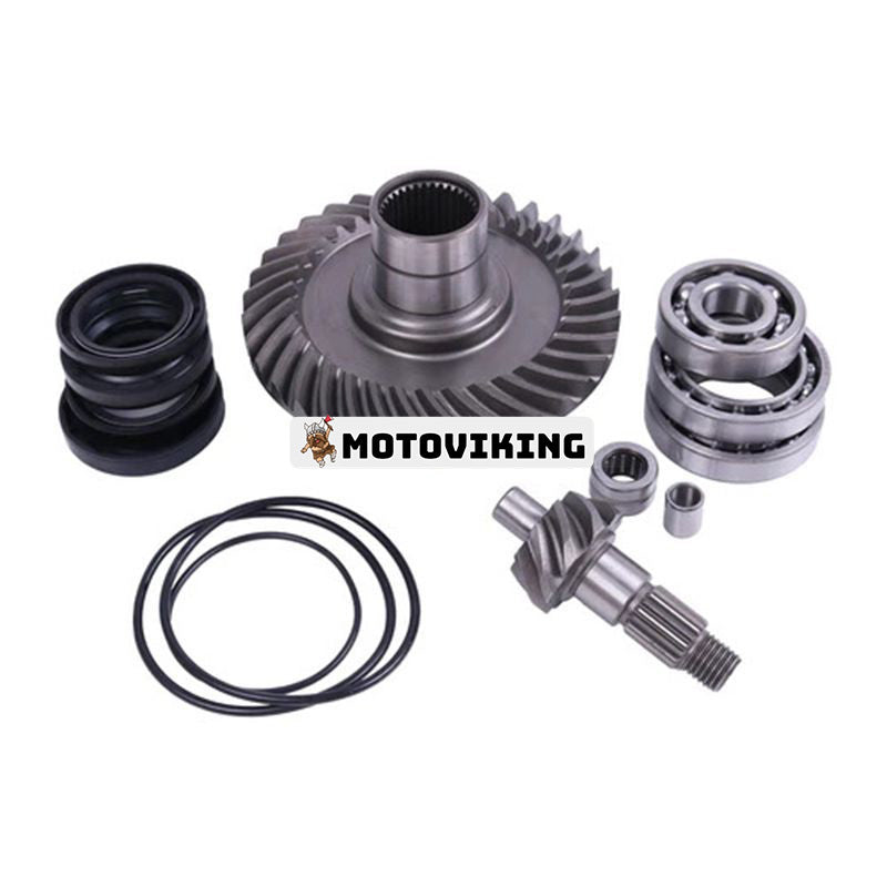 Bakre differential komplett reparationssats 41300-HM5-A10 för Honda Fourtrax 300 TRX300 TRX300FW 4X4 1988-2000