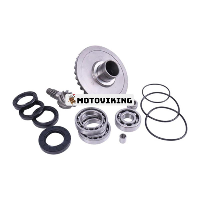 Bakre differential komplett reparationssats 41300-HM5-A10 för Honda Fourtrax 300 TRX300 TRX300FW 4X4 1988-2000