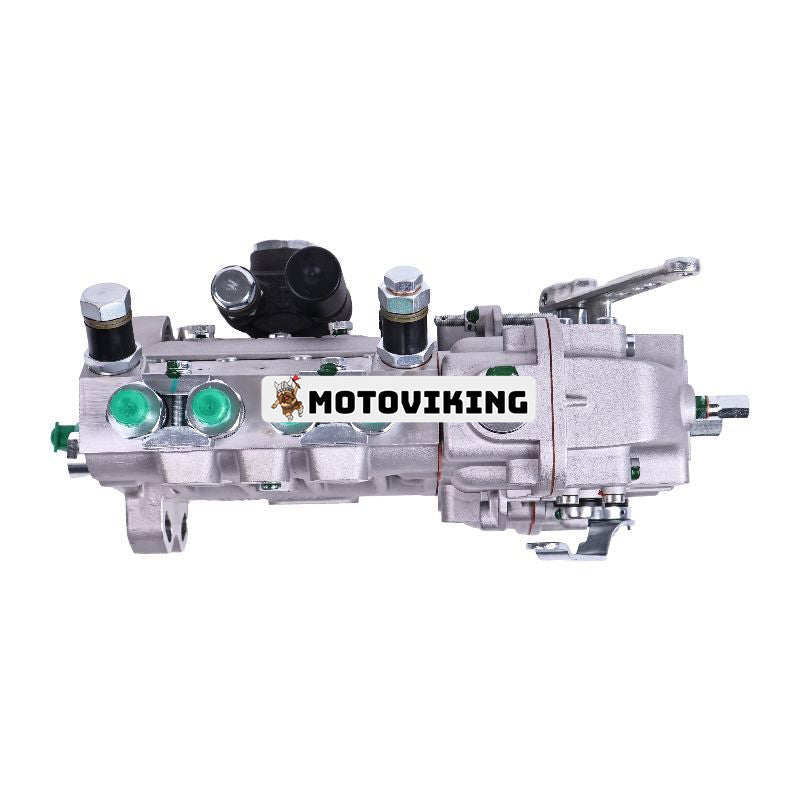 Högtrycksbränsleinsprutningspump 02232501 02232507 för Deutz Engine F4L912