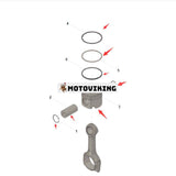 1 set motorkolvsats 6445690 för Cummins Engine 6C8.3 ISBE4 ISC8.3 ISL9