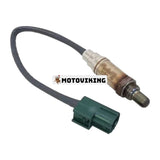 Syresensor 91A62-03500 för Caterpillar CAT Mitsubishi gaffeltruck