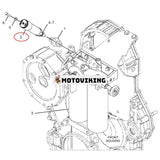 Bränslepump 137-5541 för Caterpillar CAT 3116 3208 3304 C7 C9 C10 C11 C12 C15 C18 motor