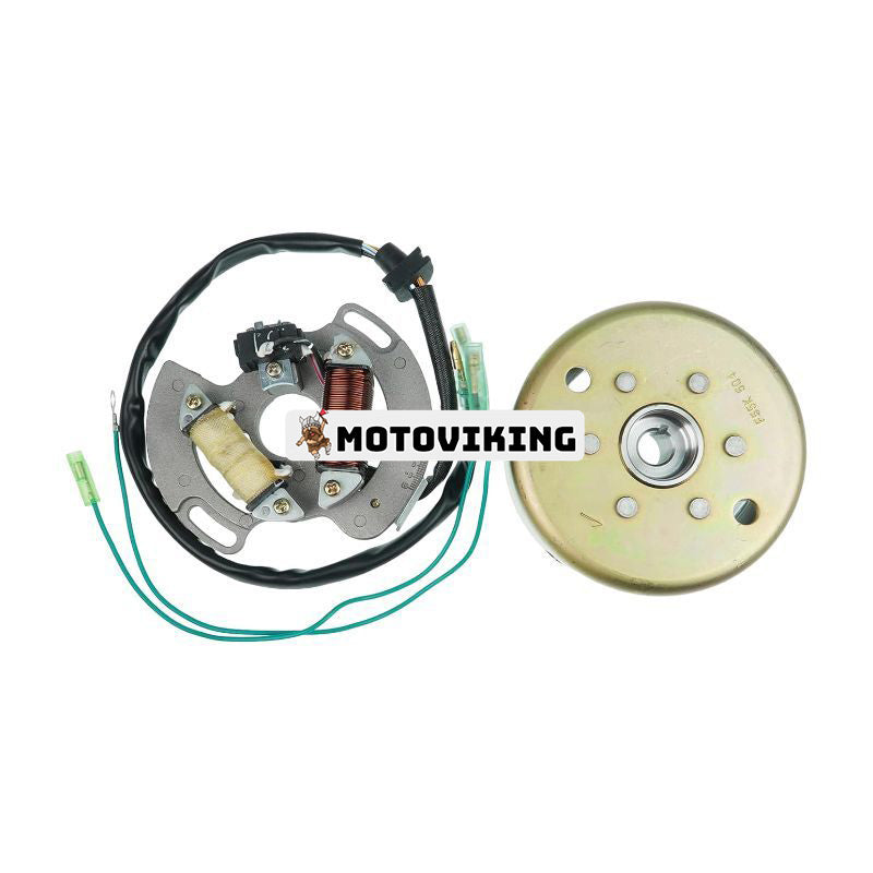 Svänghjulsgenerator med Stator Magneto 2XJ-85550-M1-00 3JM-85560-00-00 för 1990-2006 Yamaha Blaster 200 YFS200