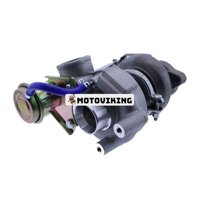 HS10040000955WIN-2 bild 5