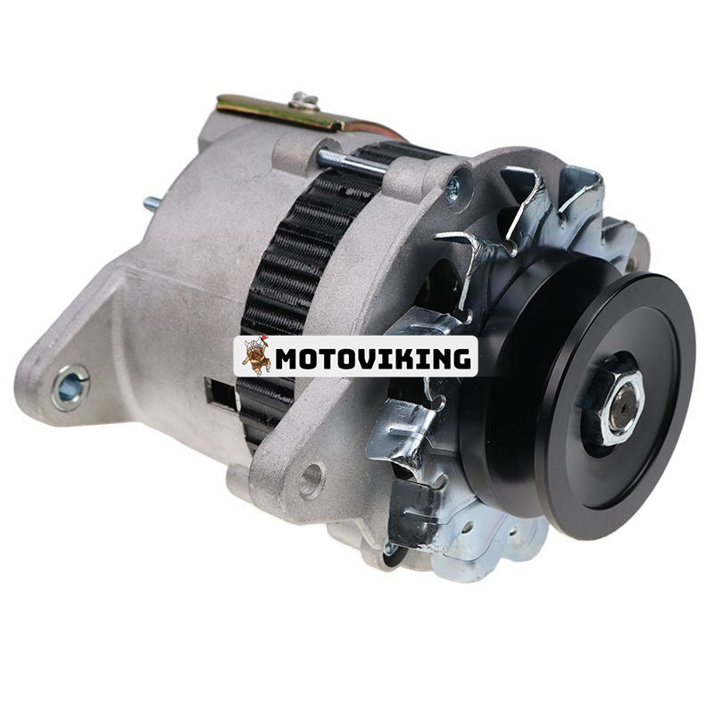 24V Generator 600-821-3850 för Komatsu Engine 4D95L-1 4D95S-1 6D95L-1 S6D95L-1