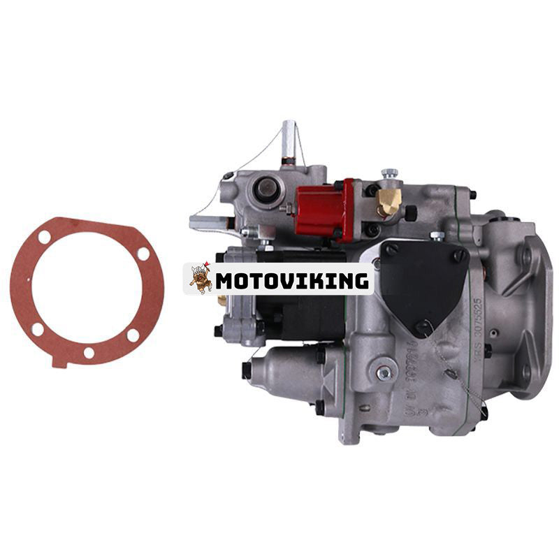 Bränsleinsprutningspump 3021961 för Cummins Engine K19 KTA19 QSK19 NT855