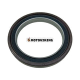 Skeleton Oil Seal AZ4079F för NOK