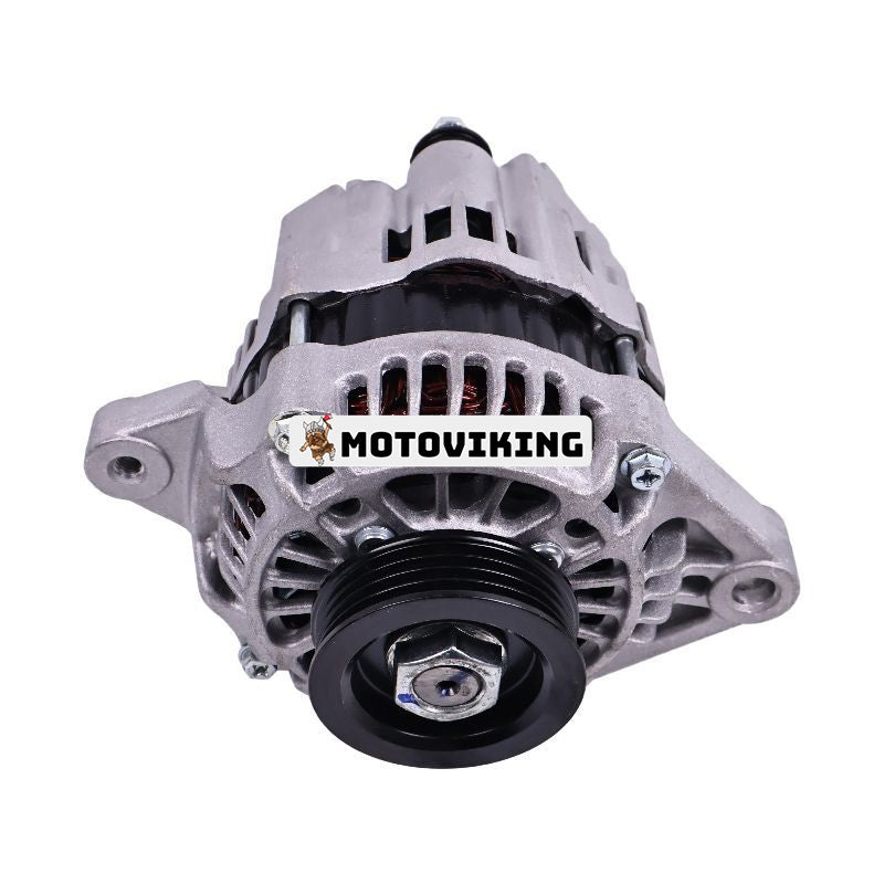 12V 60A Generator 750-15330 för Lister-Petter motor LPW LPW2 LPW3 LPW4 Hawkpower Generator
