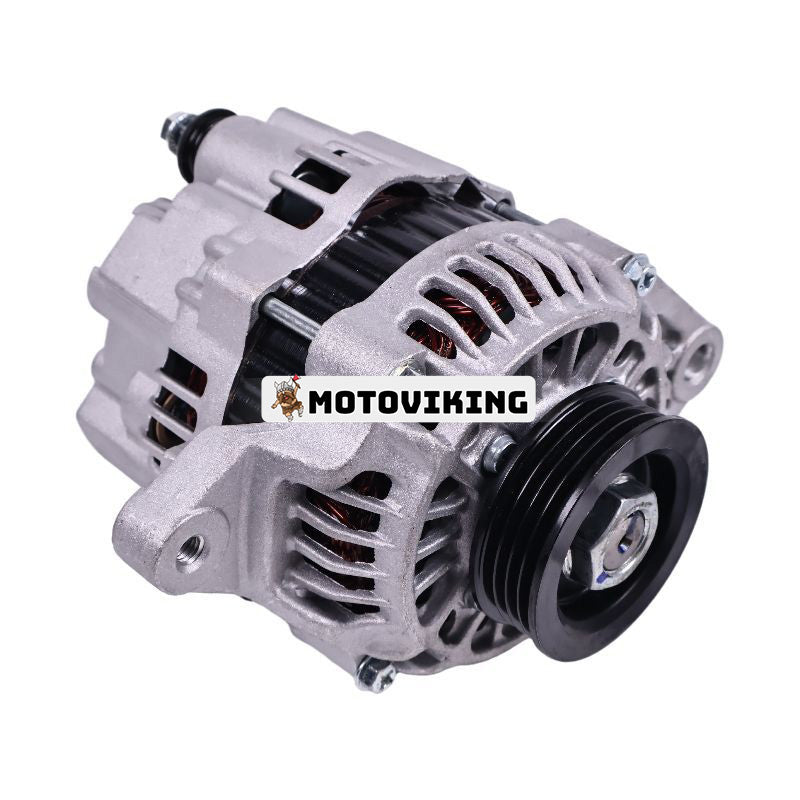12V 60A Generator 750-15330 för Lister-Petter motor LPW LPW2 LPW3 LPW4 Hawkpower Generator