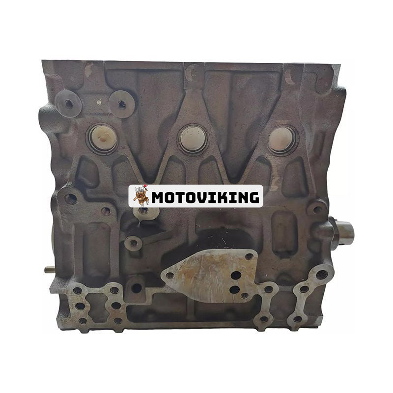 Cylinderblockenhet 729005-01560 för Yanmar 3TNV88 Komatsu 3D88E motor