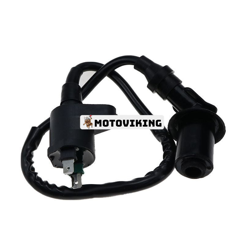 Tändspole 150cc 50cc GY6 Skoter ATV Moped Kinesisk för Honda TRX250 TRX300 TRX350 TRX400FW TRX450FW XL250 XL350 XL600