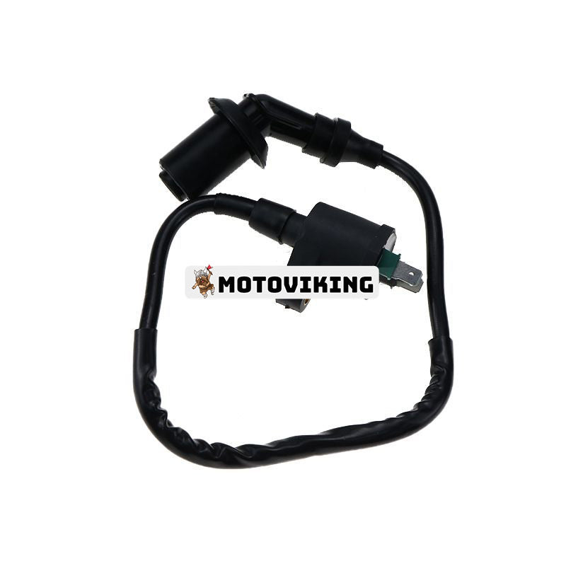 Tändspole 150cc 50cc GY6 Skoter ATV Moped Kinesisk för Honda TRX250 TRX300 TRX350 TRX400FW TRX450FW XL250 XL350 XL600