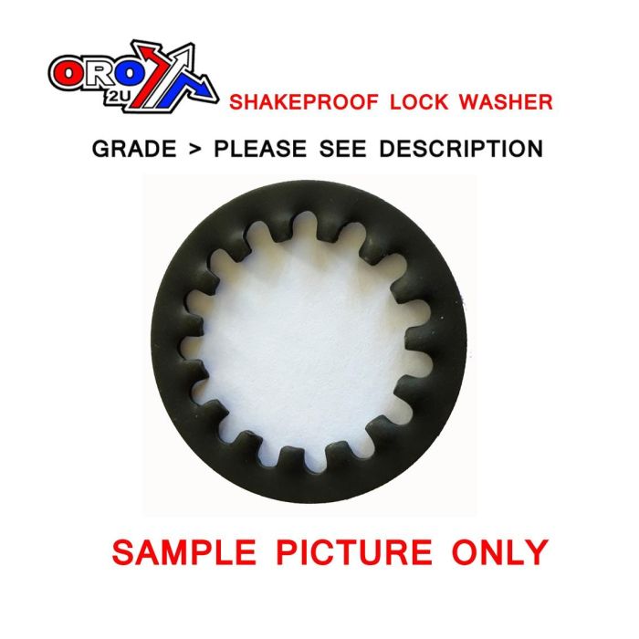 M30 Shakeproof Lock Washer Sc