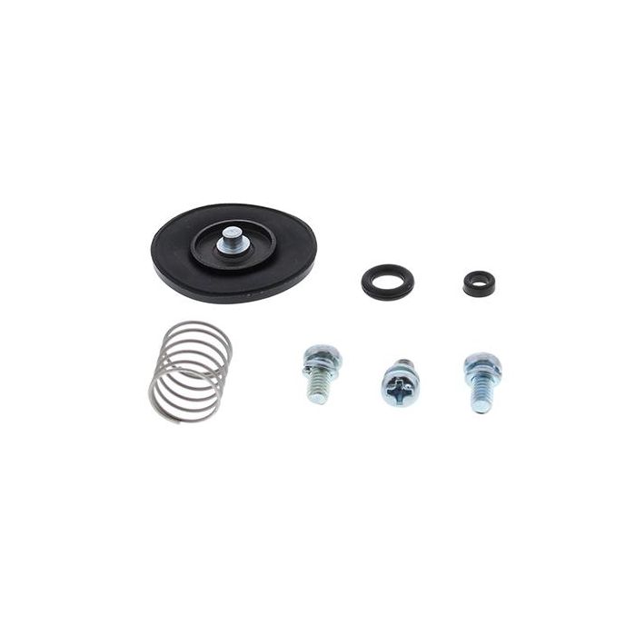 Accel. Pump Rebuild Kit Allballs 46-3001