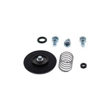 Accel. Pump Rebuild Kit Allballs 46-3003