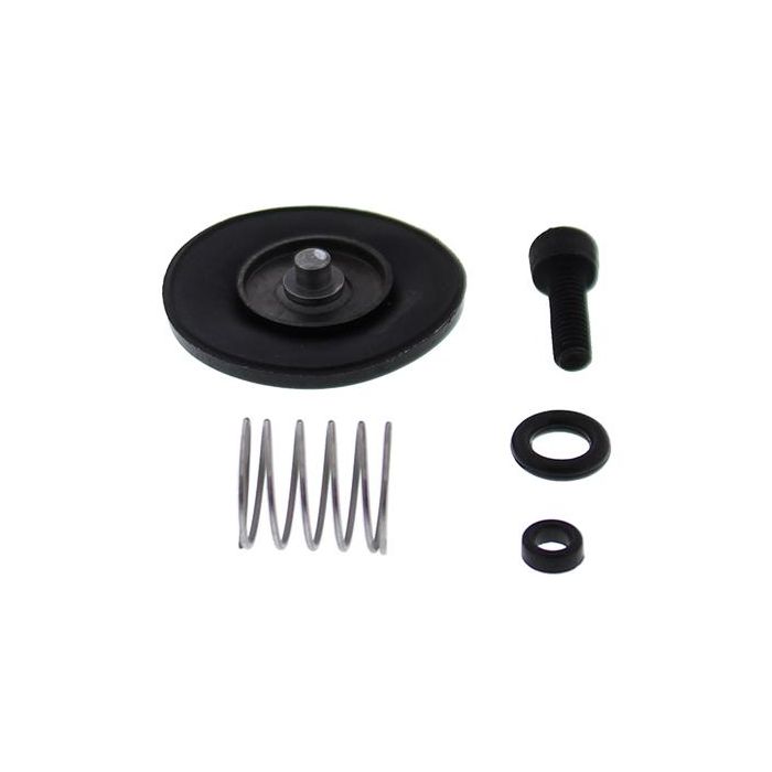 Accel. Pump Rebuild Kit Allballs 46-3006